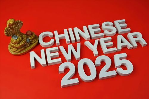 Latest company news about Chinese Spring Festival Holiday Notice